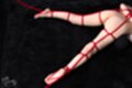 Yuma miyazaki on her front naked bound with rope legs spread bare feet