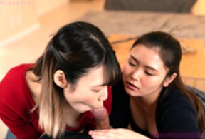 Hayase An and Aida Miku on their knees sharing cock and cum